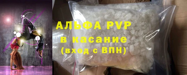 ECSTASY Богданович