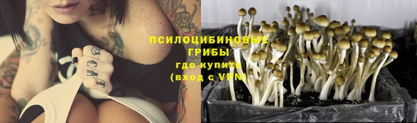 кокс Сосновка
