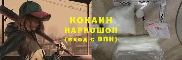 ECSTASY Богданович