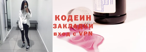 ECSTASY Богданович