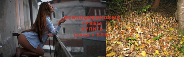 метадон Беломорск
