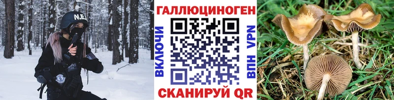 Галлюциногенные грибы мухоморы наркотики Озёрск